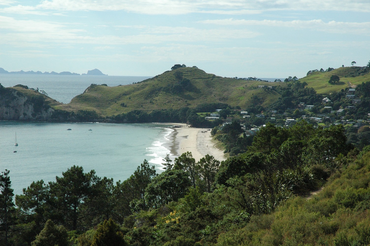 430   06 02   Coromandel   Cathedral Cove